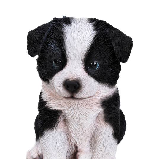 Hi-Line Gift Ltd. - Wholesale Decorative Figurine - Detailed Sitting Border Collie Puppy Decorative Figurine