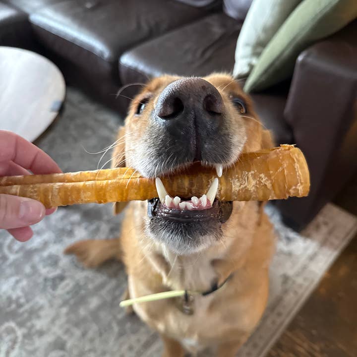 Purely Paws - Wholesale Pet Treats - Dog - Natural Beef Trachea Chew for Dogs2