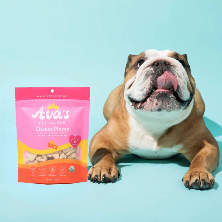 Jojo Modern Pets – wholesale Pet treats – Dog – Ava's Pet Palace Organic Baked Dog Treats - Cheeze Pleeze