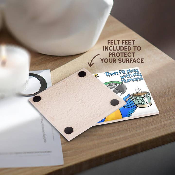 3dRose - Wholesale Coasters - 3dRose, Blue and Gold Macaw coffee first, Coaster3