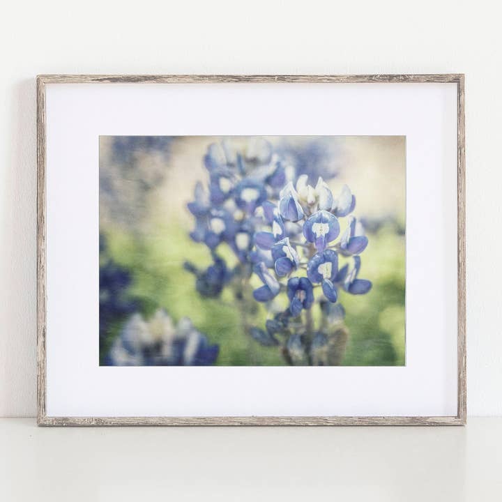 Bluebonnets Wall Art Print | Texas Wildflower Photography for wholesale by Lisa Russo Fine Art