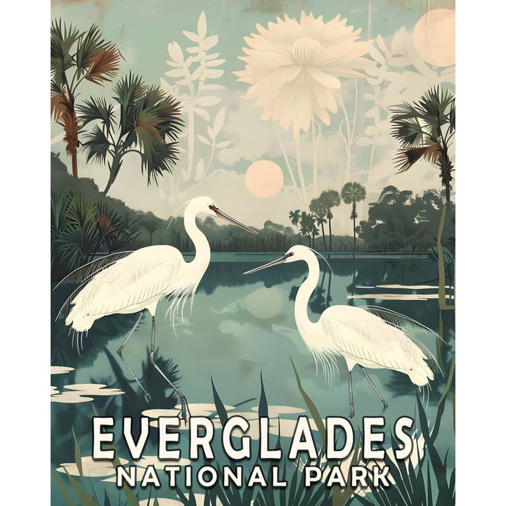 Mowbi - Wholesale Art Print - Egrets - Everglades Souvenir Home Decor Wall Art Prints – 8″x10″ Artwork – 11″x14″ Matte