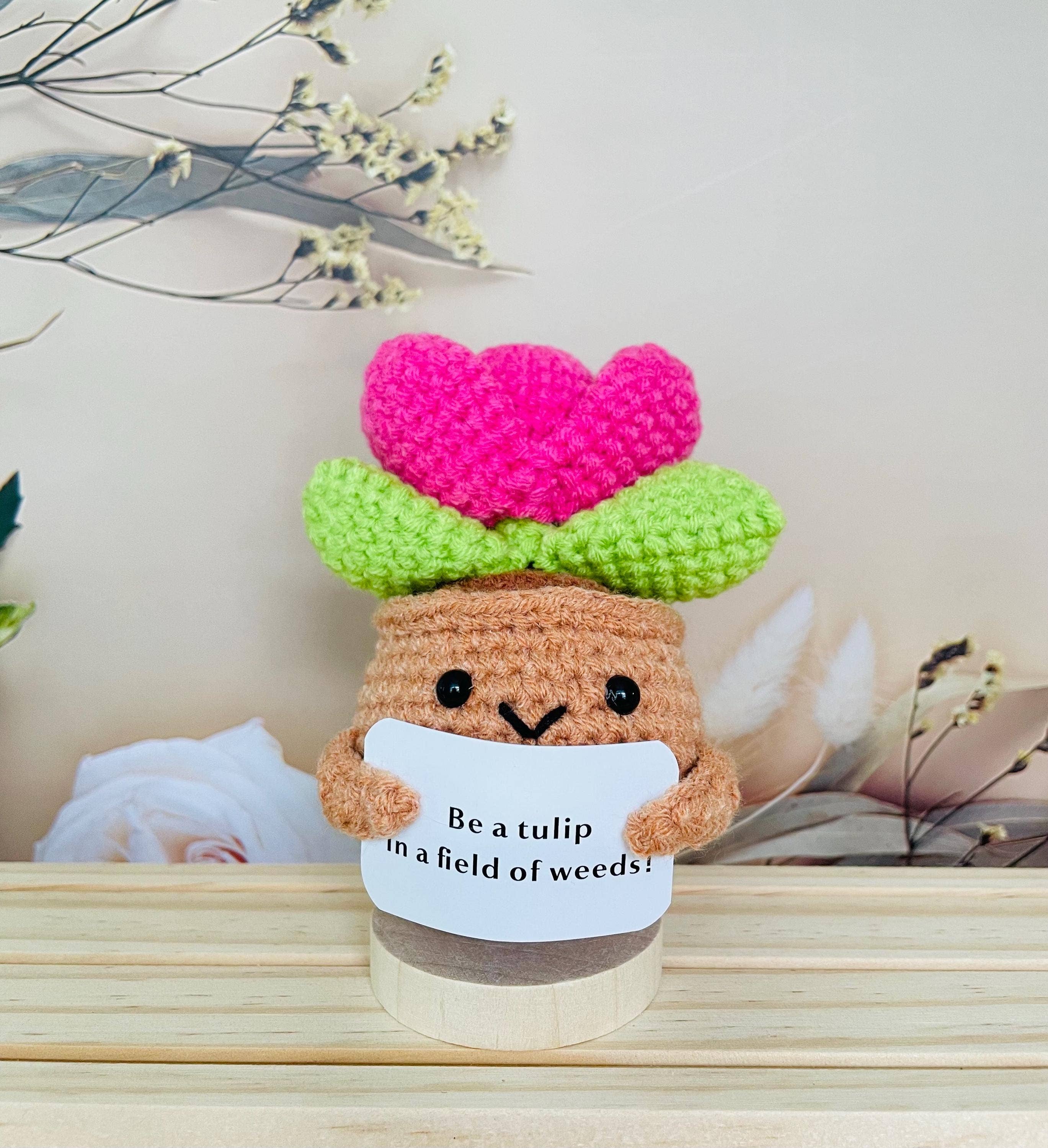 TOMOPOD LLC – wholesale Christmas decoration – Crochet Cactus Succulent Plant Emotional Support5