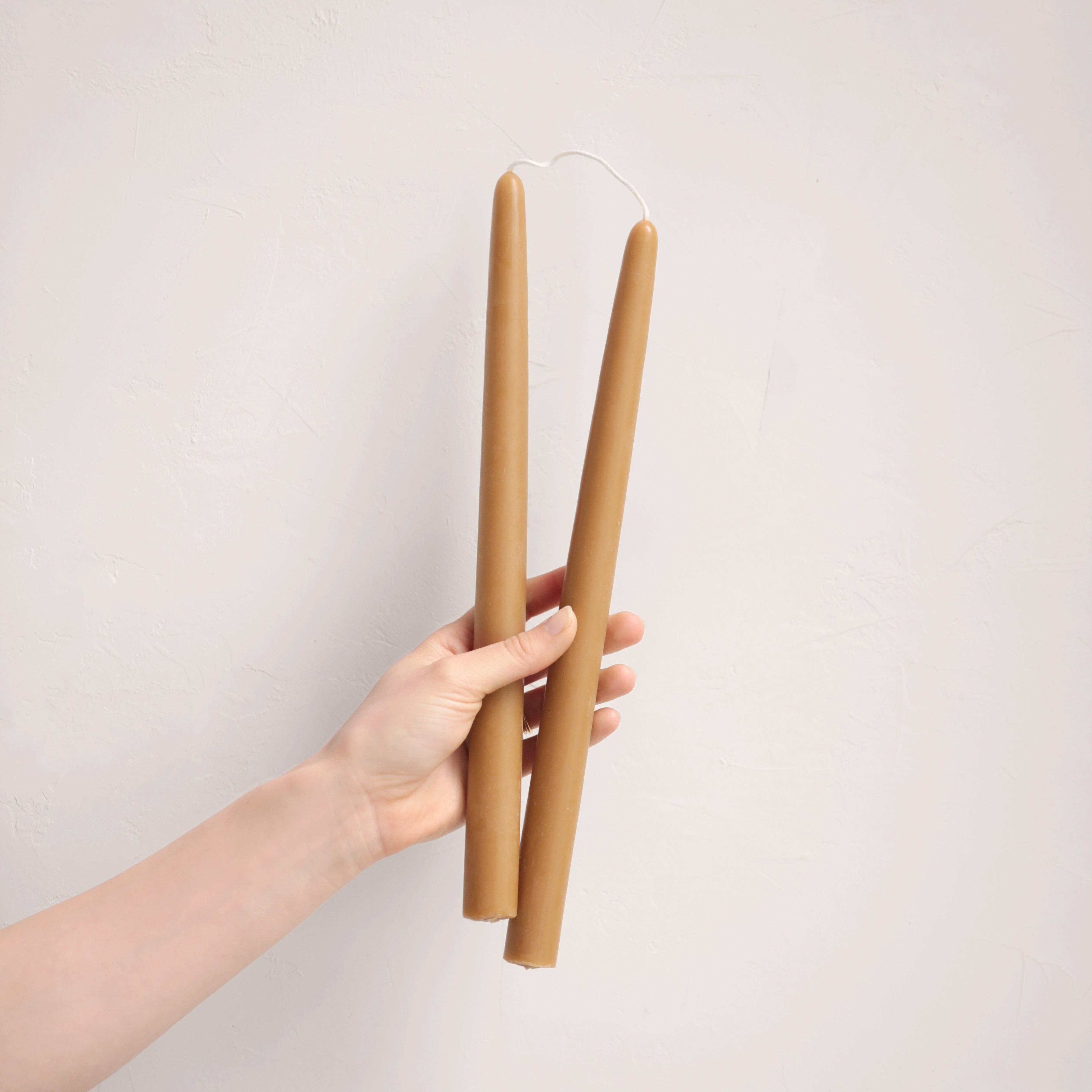 The Floral Society - Wholesale Tapered Candle/Candlestick - 12" Beeswax Taper Candles8