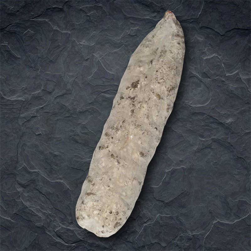 laboutiquedessaucissons - Vente Salamis - Saucisson Pur Porc1