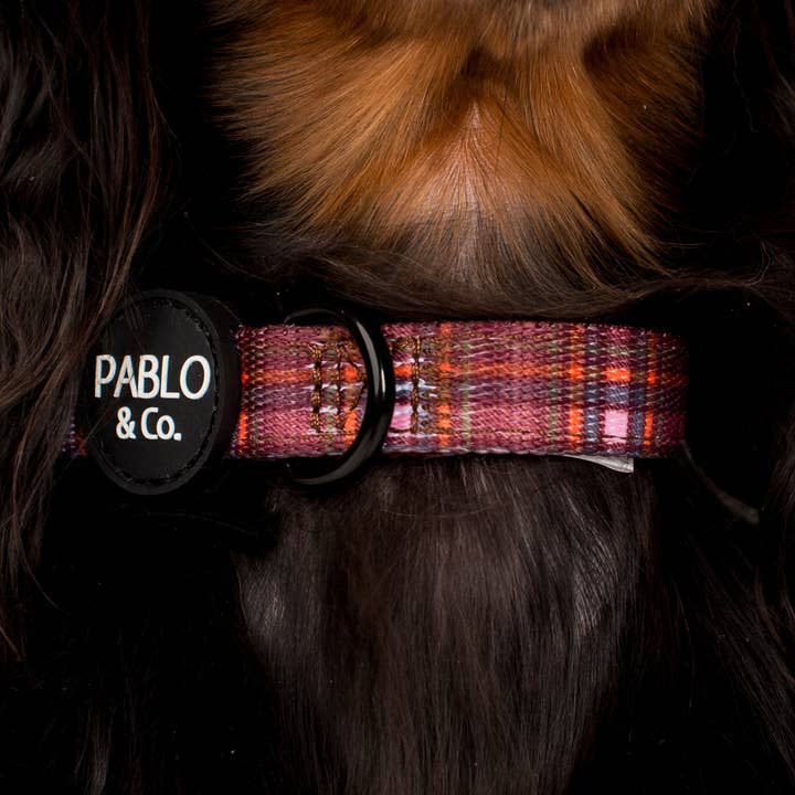 Pablo & Co. Boutique - Wholesale Pet Collar - Dog - Camilla: Collar