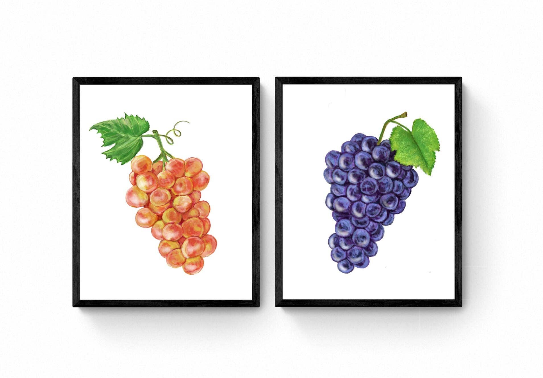 MerikaArt - Wholesale Art Print - Pink and Black Muscat Grape Art Print, Wine Art, Kitchen Wall Painting, Dining Room Decor, Fruit Illustration, Farmhouse Wall Decor3