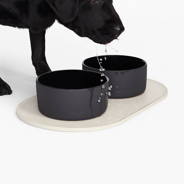 Fable Pets - Wholesale Pet Bowl - Cat/Dog - Ceramic Dog Bowl5