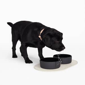 Purchase Wholesale ceramic dog bowl. Free Returns & Net 60 Terms on Faire