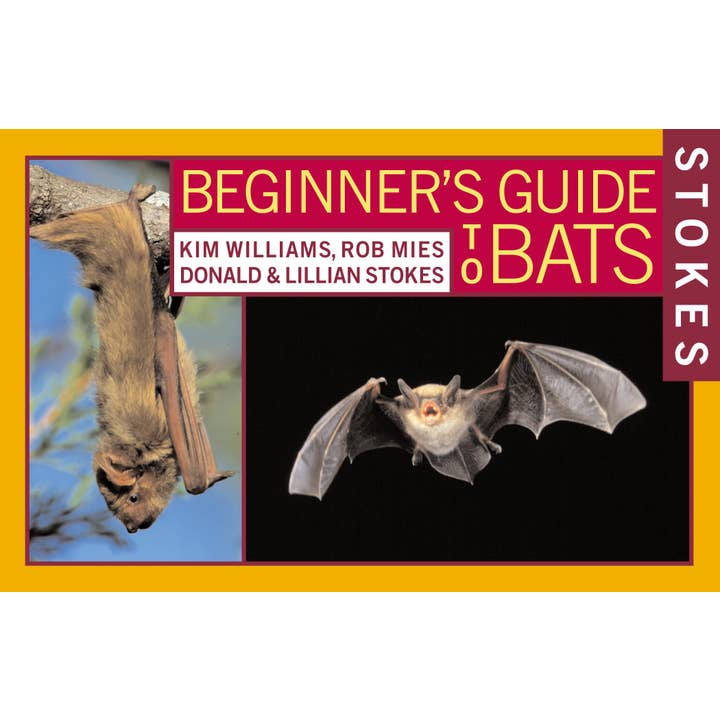 Stokes Beginner’s Guide to Bats for wholesale by Hachette Book Group