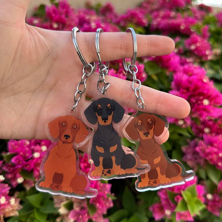 Prime Shiba - Wholesale Keychain - Women's - Dachshund Dog 2.5in Acrylic Keychain0
