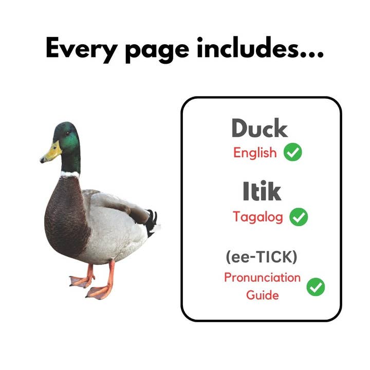 Heritage Kids Press - Wholesale Language & Linguistics Book - My First Tagalog Words Series / Serye ng Aking mga Unang Salitang Tagalog8