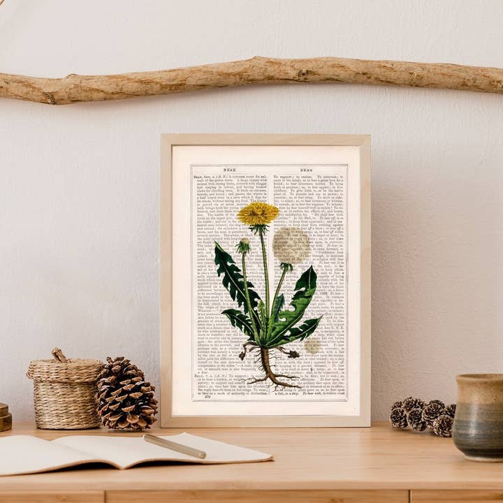 PRRINT! - Wholesale Art Print - Dandelion Wild Plant0