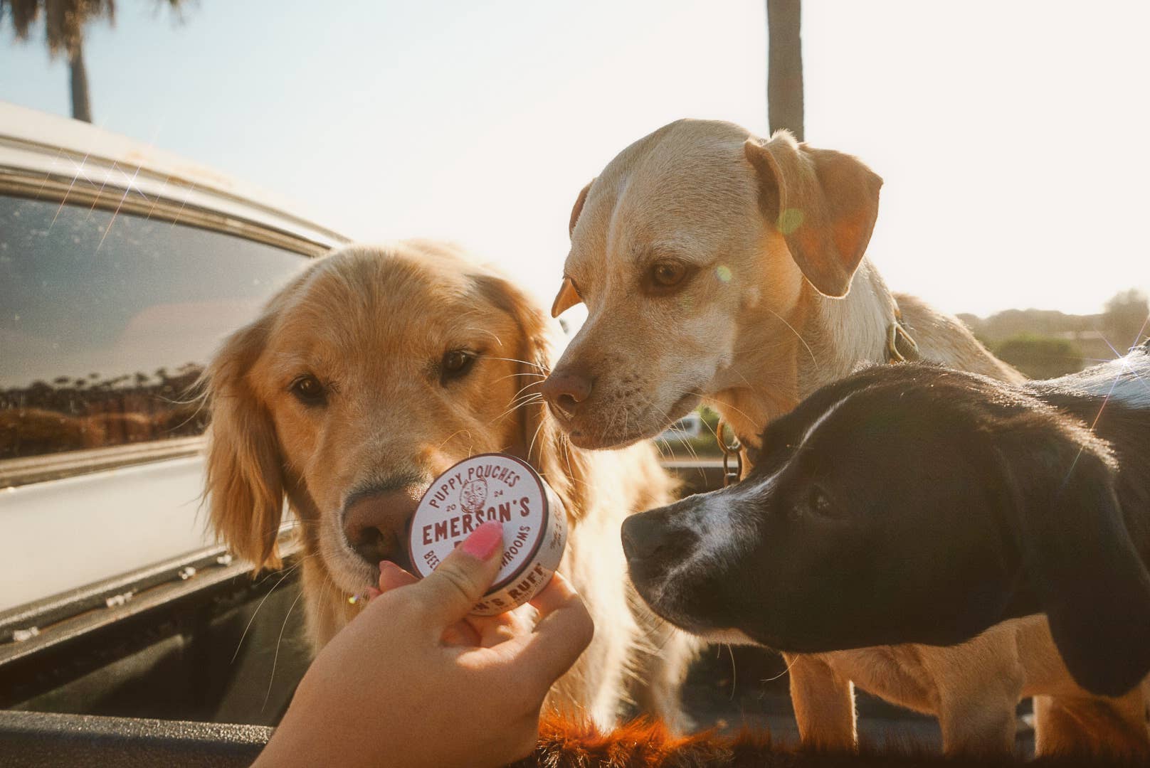 Emerson's Ruff - Vendita all'ingrosso Snack - Cani - Sacchetti per cuccioli - CUORE DI MANZO E FUNGHI1
