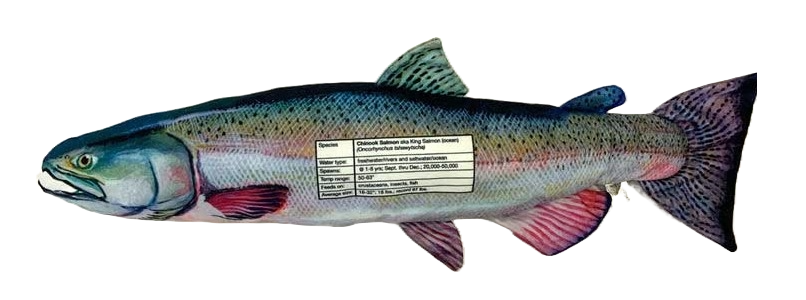 FishTargets - Wholesale Sporting accessories - Chinook Salmon1