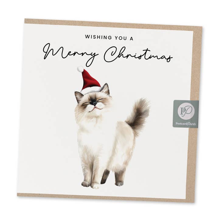 Eco Ragdoll Kitten Christmas Card for wholesale by Postcard Prints