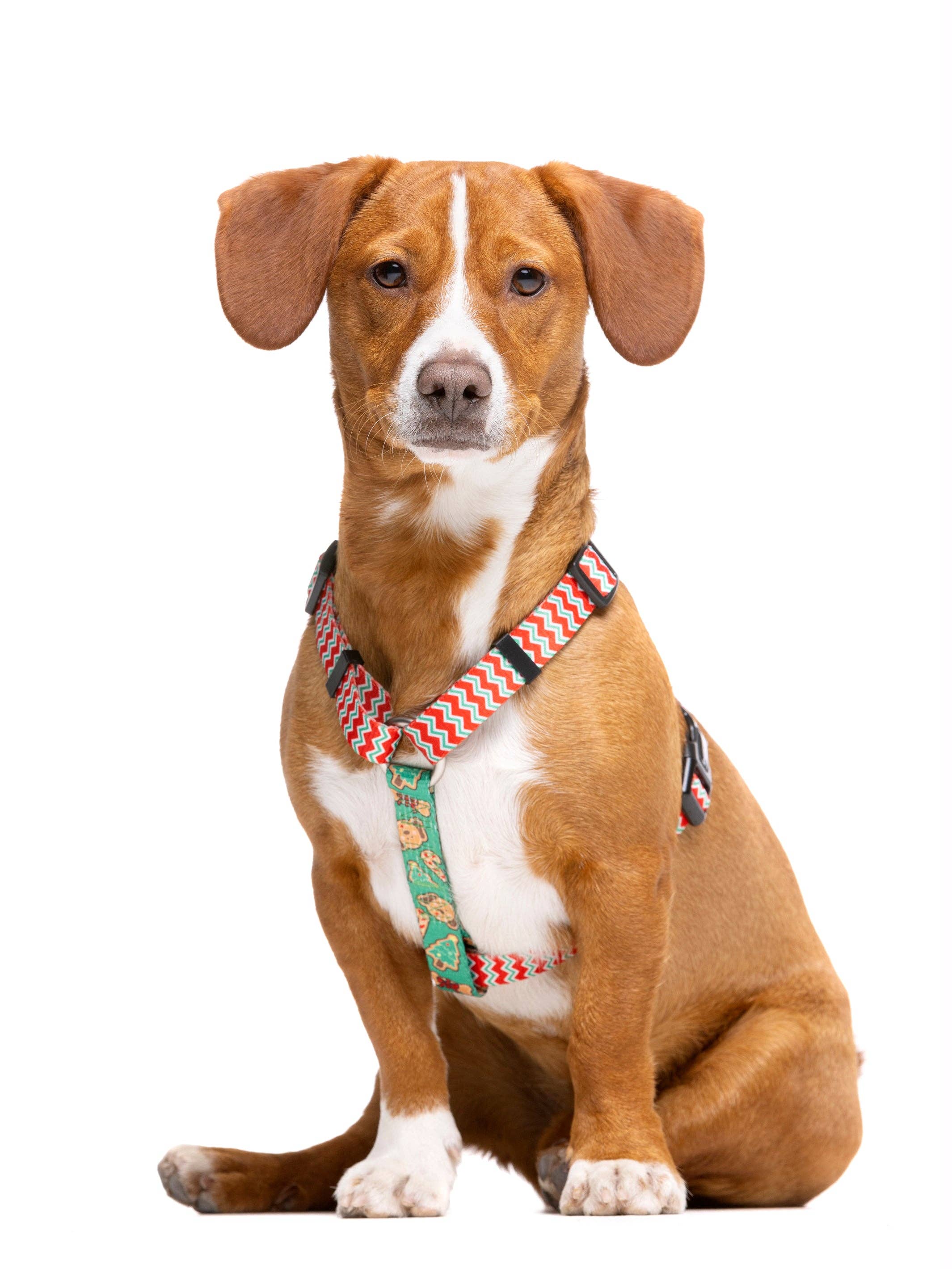 Dukier - Wholesale Pet Harness - Dog - GINGER BREAD CLASSIC DOG HARNESS1