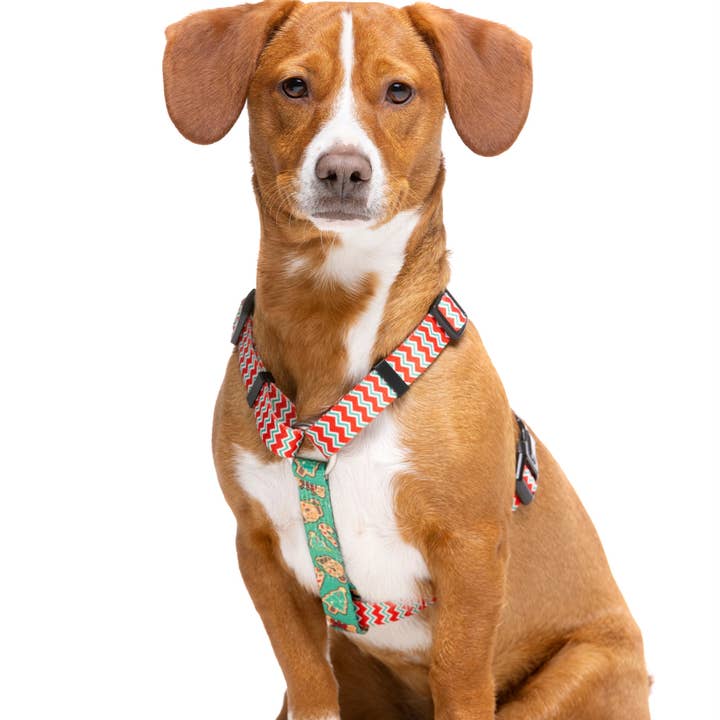 Dukier - Wholesale Pet Harness - Dog - GINGER BREAD CLASSIC DOG HARNESS1