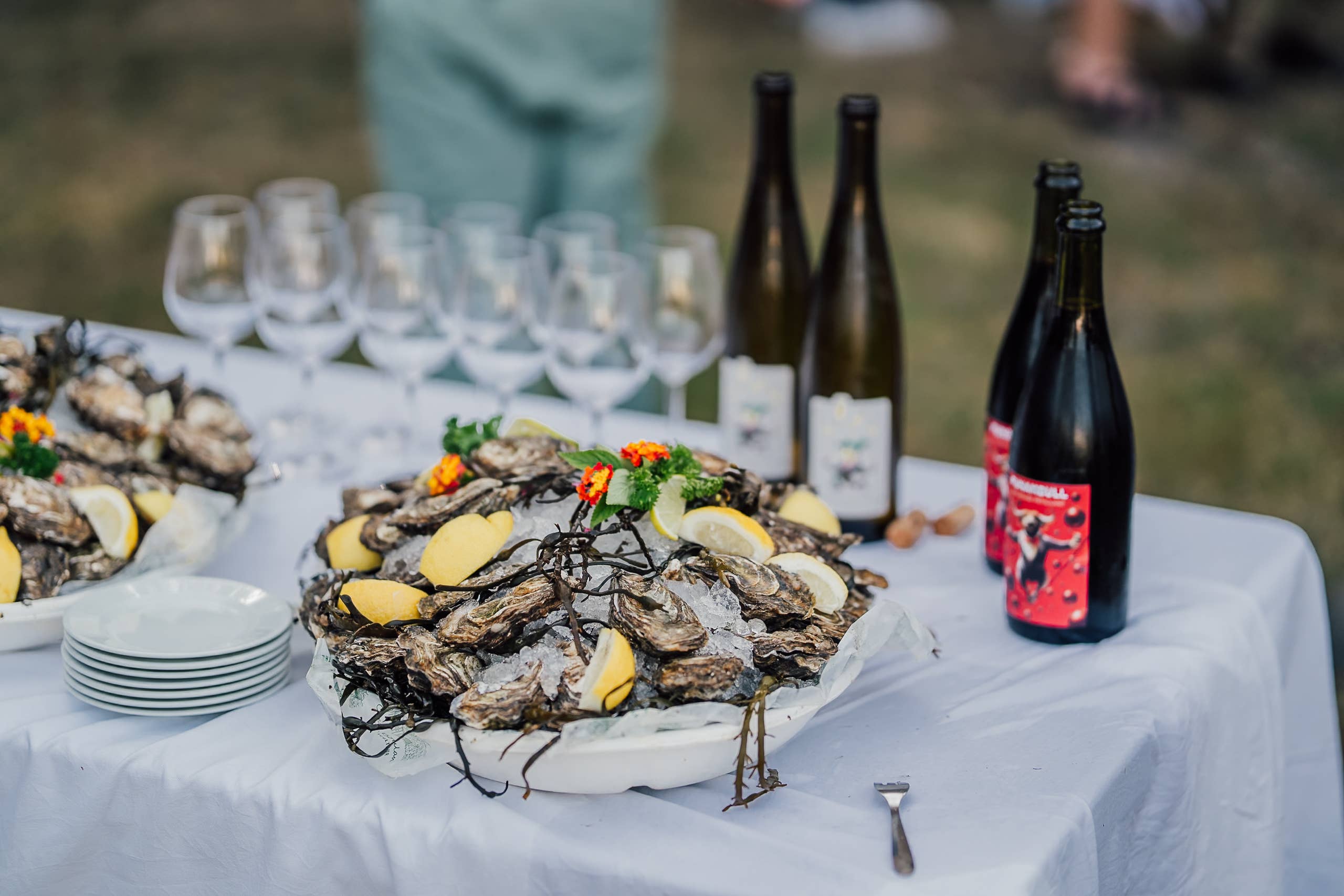 Domaines Fabre - Wholesale Champagne/Sparkling Wine - FUNAMBULL Sparkling red wine2