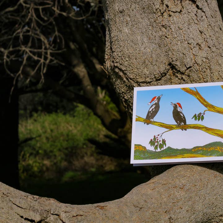Sunshine Sea Art - Wholesale Christmas card - Magpie Christmas Card | Australian Bush Bird Greeting Card5
