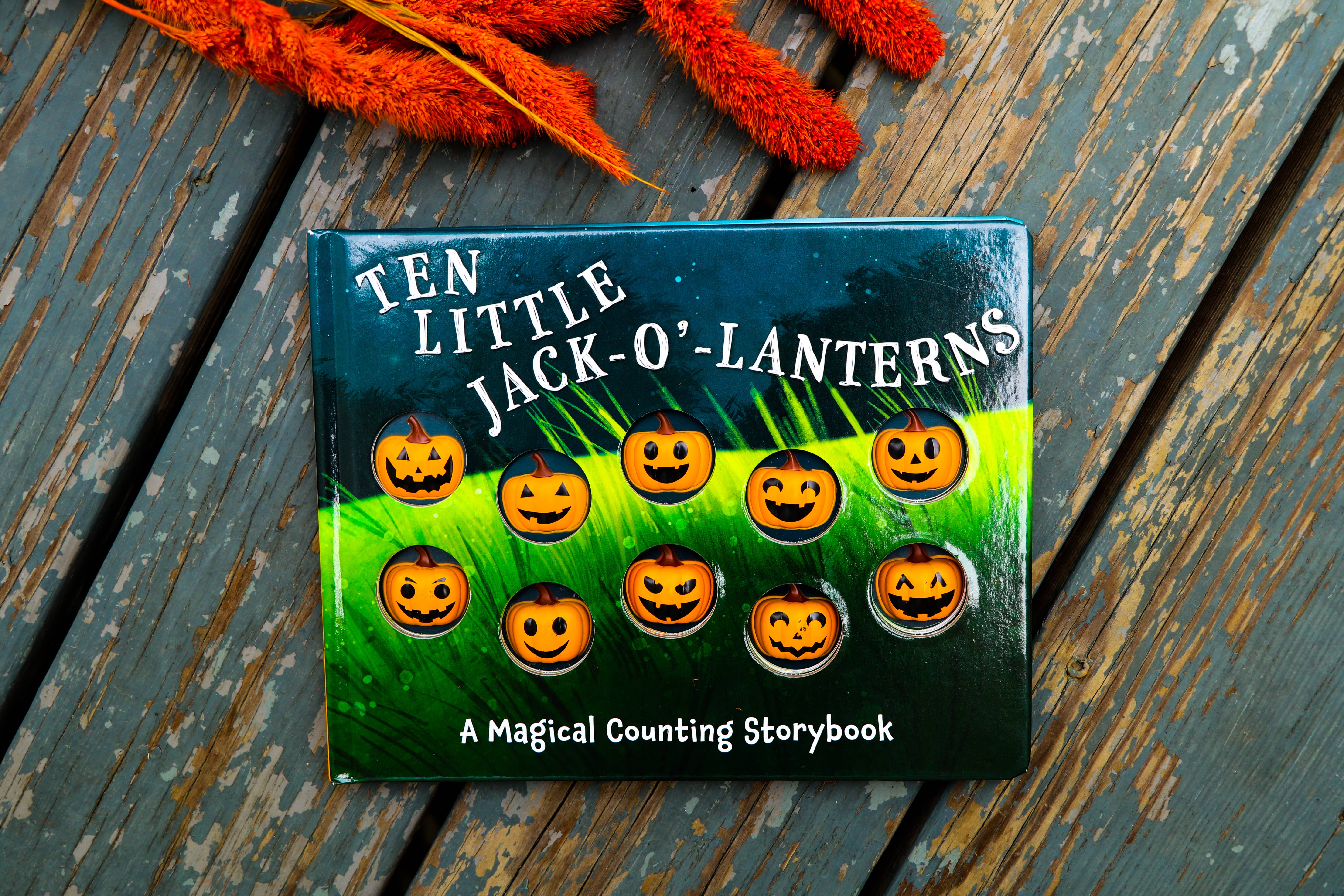 HarperCollins Focus - Wholesale Baby & Toddler Book (0-2) - Ten Little Jack-O’-Lanterns8