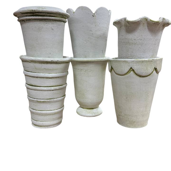 Botanical Collections - Wholesale Plant Pot - Tall Herb Pots - Case of Six