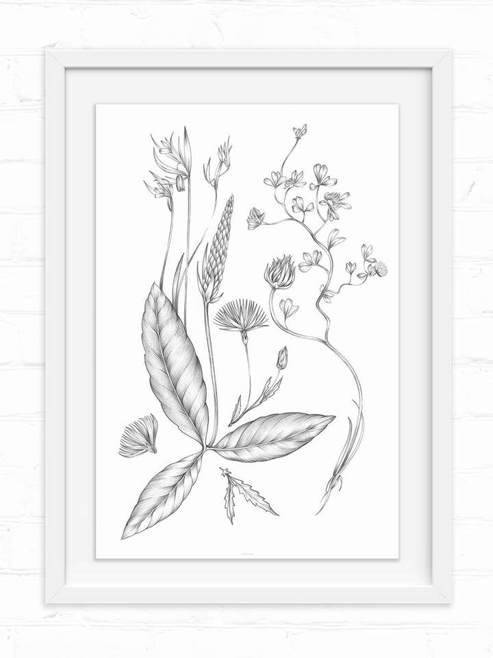 Bodega Blooms Art Print for wholesale by LINNA