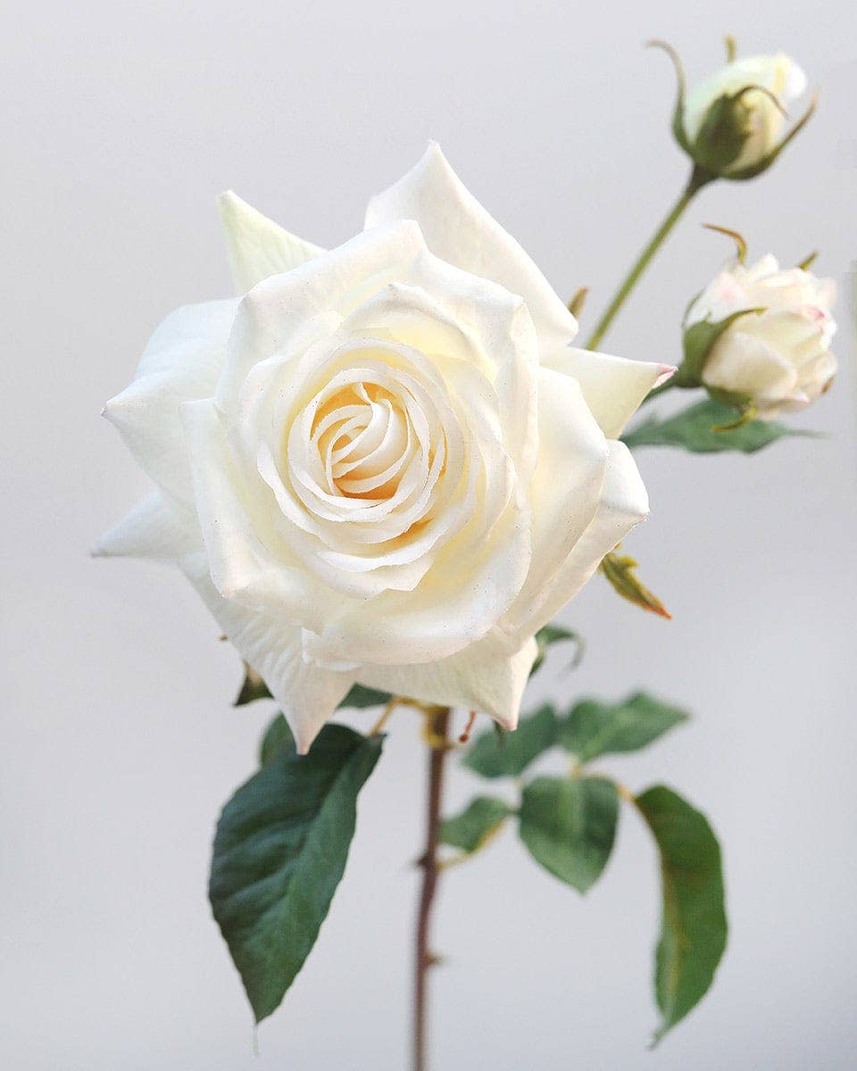 Prestige Botanicals - Wholesale Artificial flowers - Real Touch Prestige White Rose 22”2