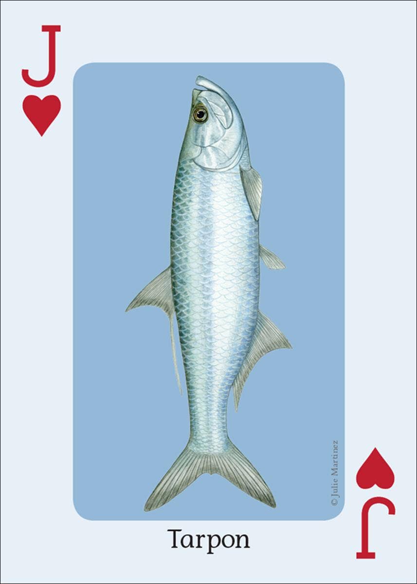 AdventureKEEN - Wholesale Playing Cards - Saltwater Fish of Gulf & Atlantic Playing Cards3