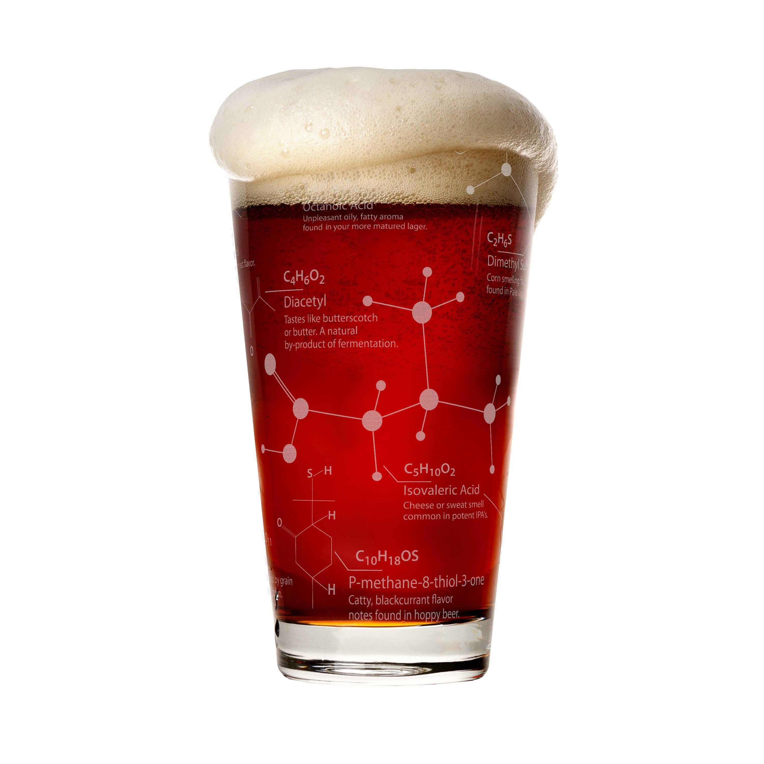 Greenline Goods - Wholesale Beer Glass/Mug - Science of Beer Etched Beer Glass3