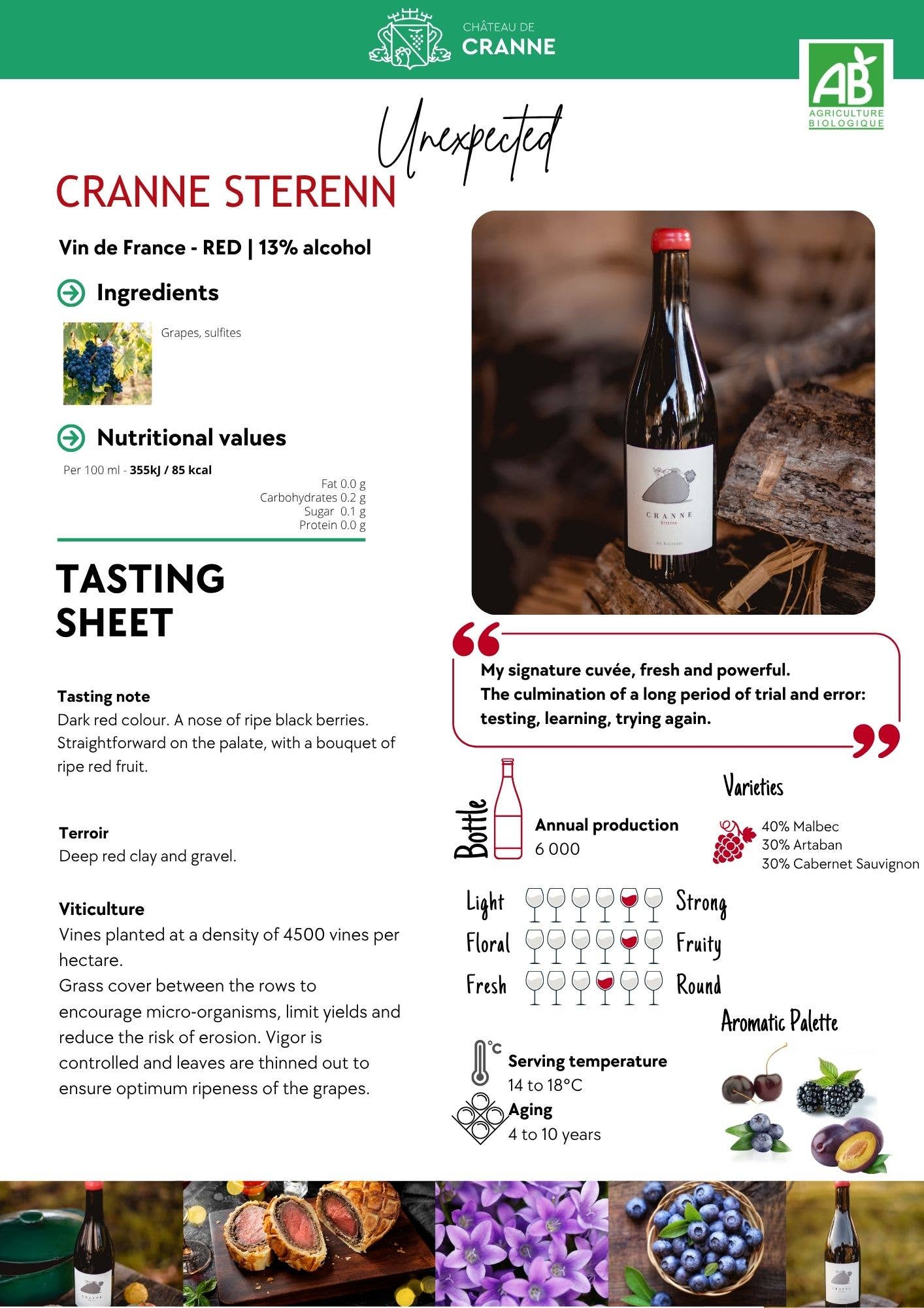 Château de Cranne – Großhandel Rotwein – Grand Organic Rotwein Amphore 2022 „CRANNE Sterenn“1