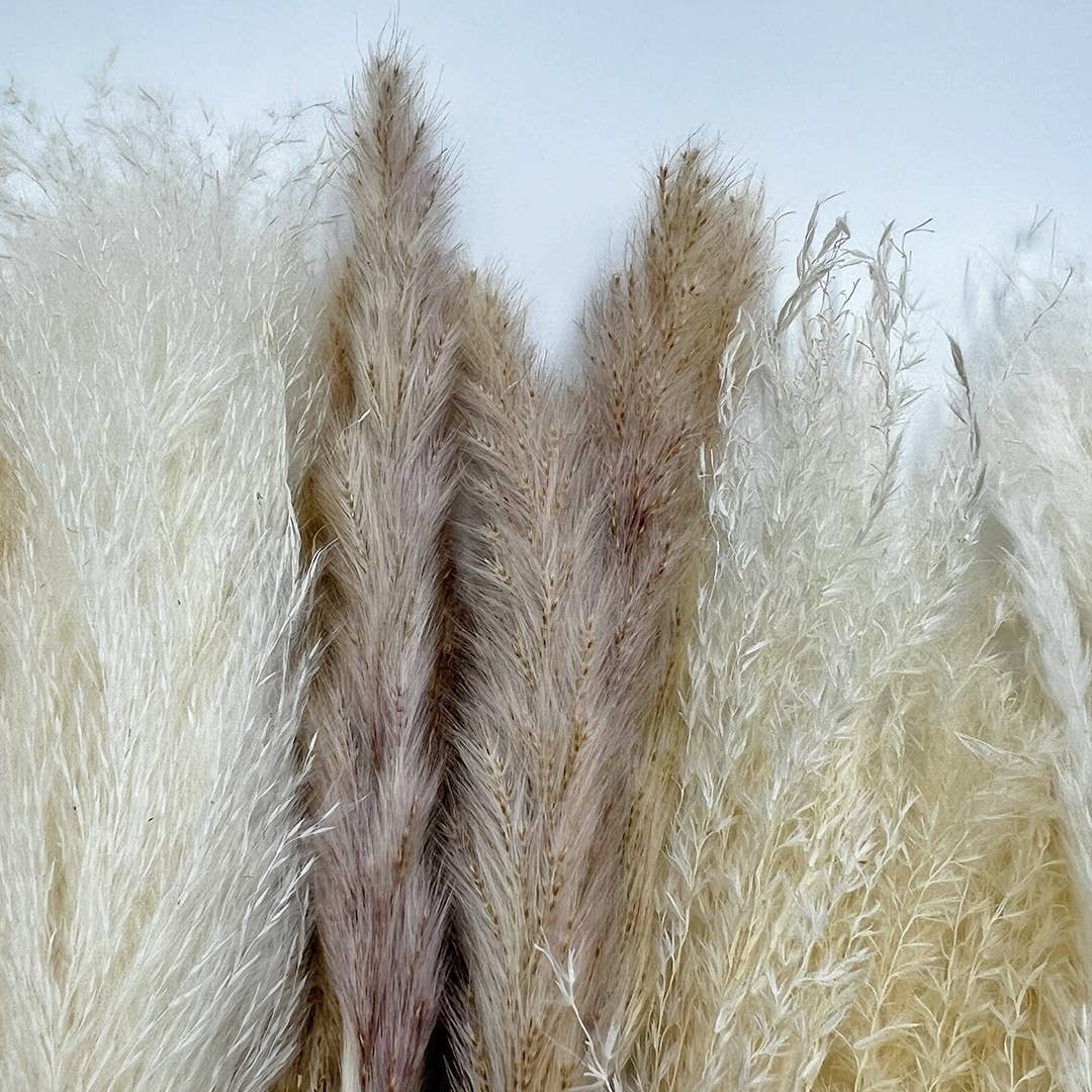 2626 Designs - Wholesale Dried/Pressed Flowers - Real Preserved Mixed Bouquets Mix 8 Small - Med - Large5