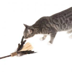 Natural Cat Toy - Vendita all'ingrosso Giocattolo - Gatti - Teaser giocattolo lungo in argento con piume di mais — manico 40 cm