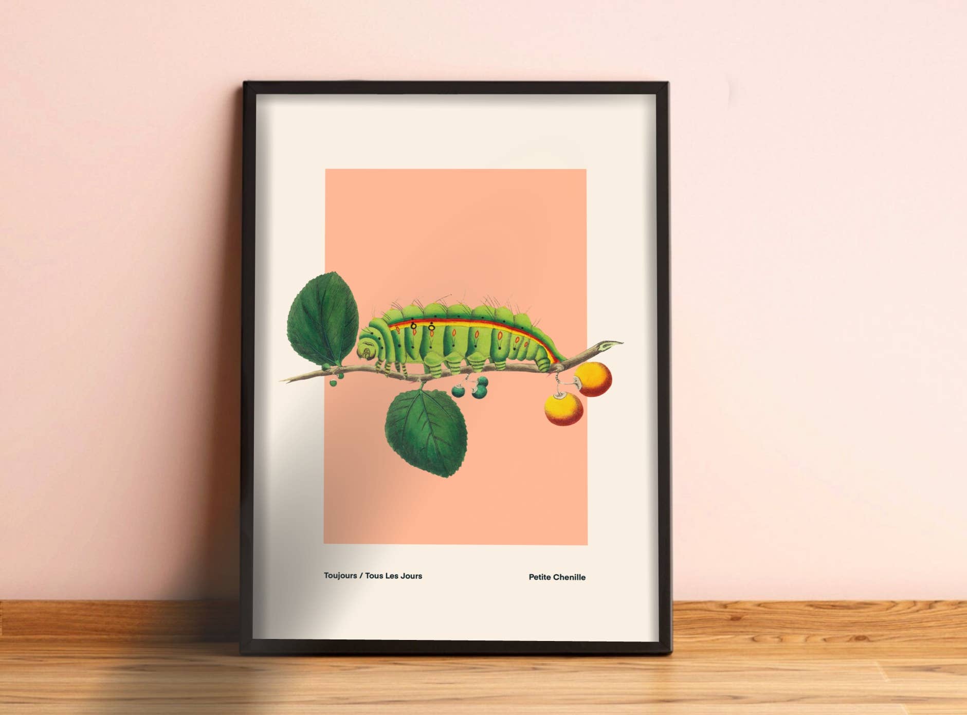 Kate Fox Design – wholesale Art print – Bug Art Print, Green, Blue, Red., Vintage, Insect Art3