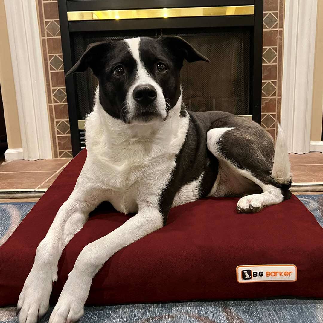 Barker Beds - Wholesale Pet Bed - Dog - 4" Orthopedic Crate Bed16