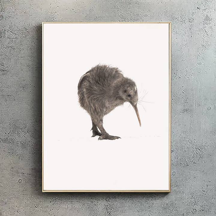 Kiwi - A4 Print (landscape) for wholesale by Hidden Planet
