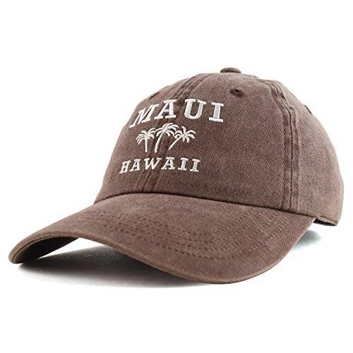 Trendy Apparel Shop - Venta al por mayor Gorra de béisbol - Unisex - Gorra de béisbol bordada Maui Hawaii con palmera1