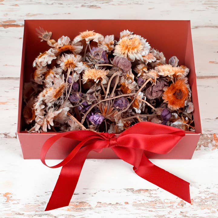 Emartbuy – Großhandel Geschenkboxen – Elegante Geschenkbox mit Klarsichtdeckel und Schleife für besondere Anlässe - 2er-Set24