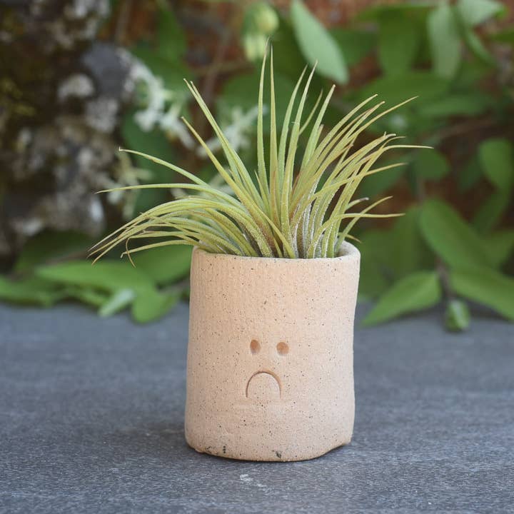 Air Plant Little Buddies - Pouts / Frowns for wholesale by Mud & Maker