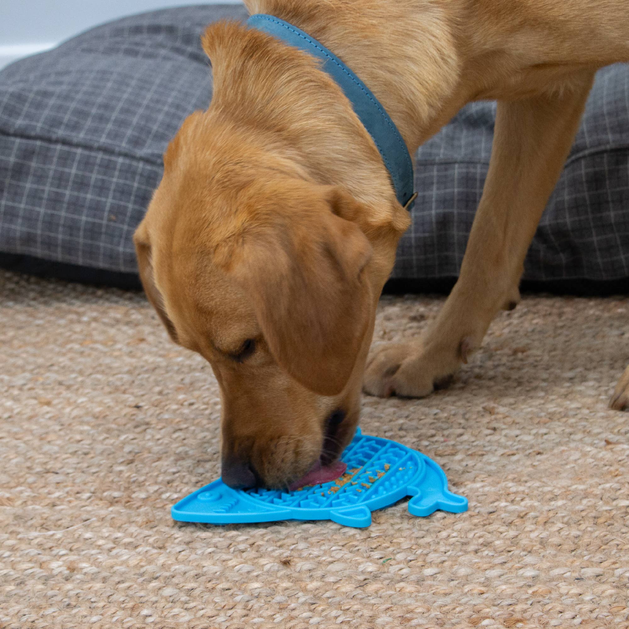 Ancol Pet Products Ltd – wholesale Pet food mat – Dog – ÖRVA Shark Lick Mat  1