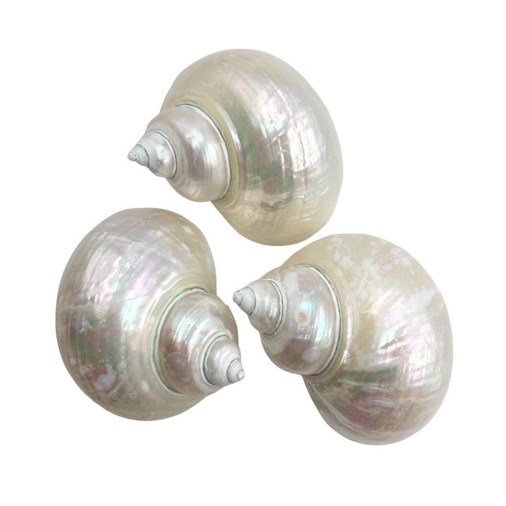 Earths Elements Wholesale - Vente Pierre et cristal de spiritualité - Turban en jade nacré1