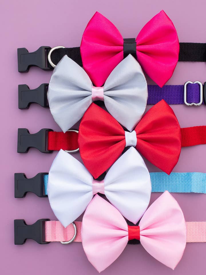 Ensemble Satin Saint-Valentin (25 pièces) pour la vente par Pets Ribbons