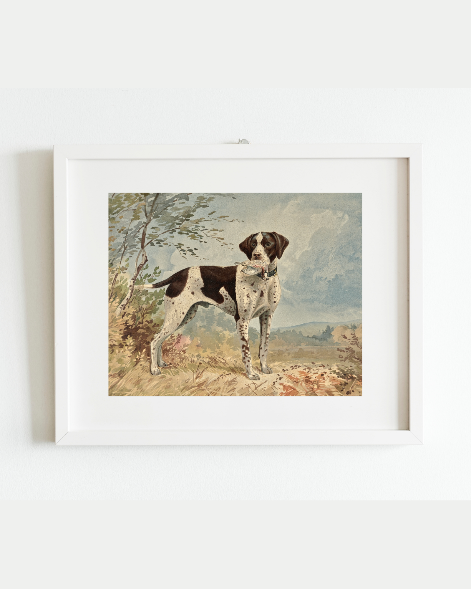 Sea to Skye - Wholesale Art Print - Standing English Pointer Antique Art Print3