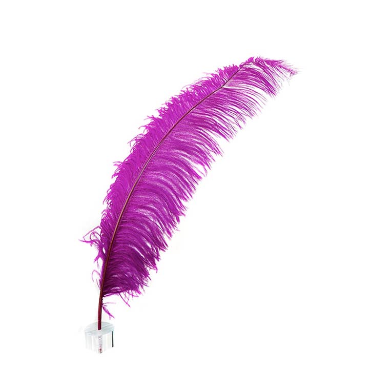 Large Ostrich Feathers - 18-24" Spads - Very Berry for wholesale by Zucker Feather Products