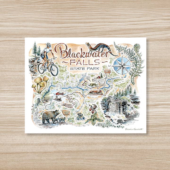 Rosalie Haizlett Illustration - Wholesale Art Print - Blackwater Falls State Park Map - Watercolor Art Print