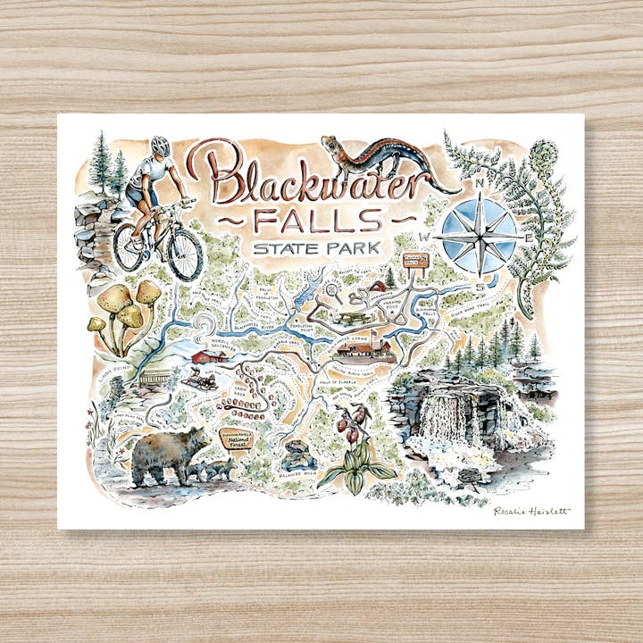 Rosalie Haizlett Illustration – Engroshandel Kunsttryk – Kort - Blackwater Falls State Park - Akvarel Kunsttryk0