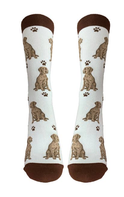 E&S Pets - Wholesale Socks - Unisex - Weimaraner Socks - Fun Novelty Dog Socks - Unisex2