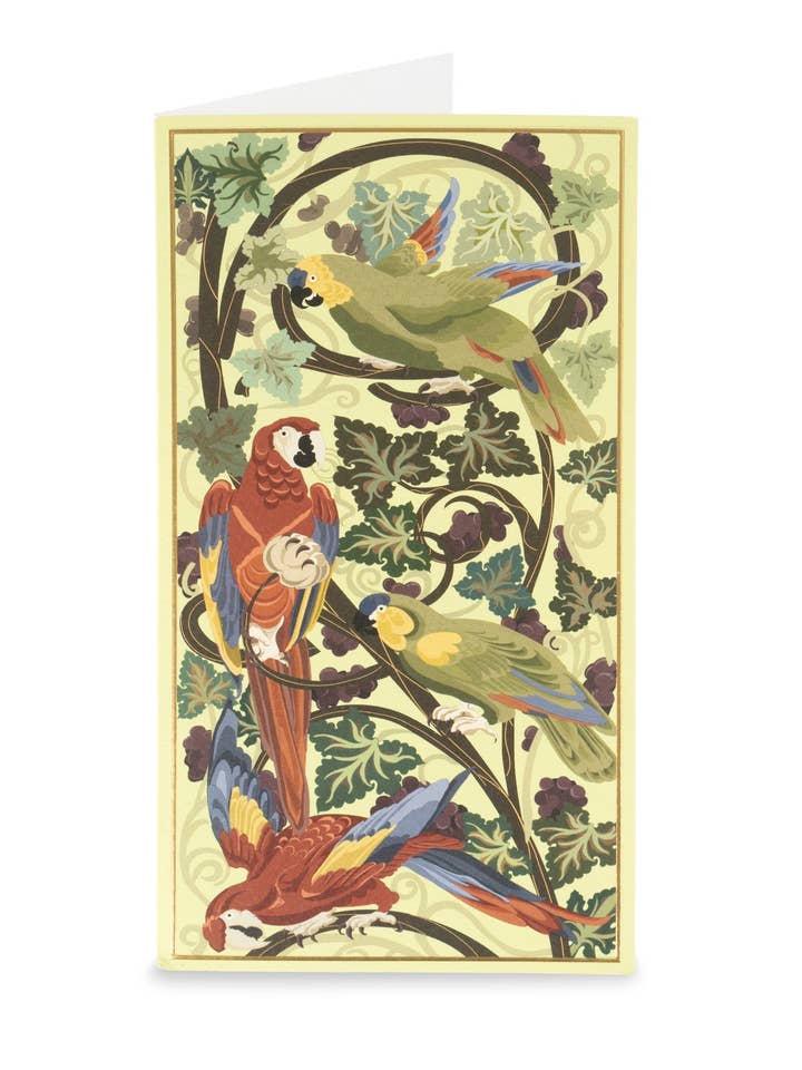 Tarjeta DL&SOBRE Guacamayo Escarlata para venta al por mayor de byLegacy