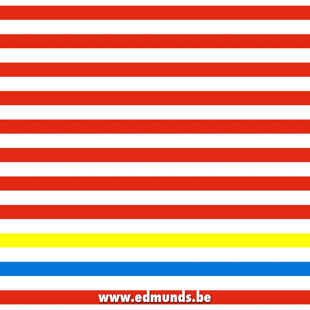 Edmunds - Wholesale Non-Medical Disposable Mask - Mask - Beach Boys4