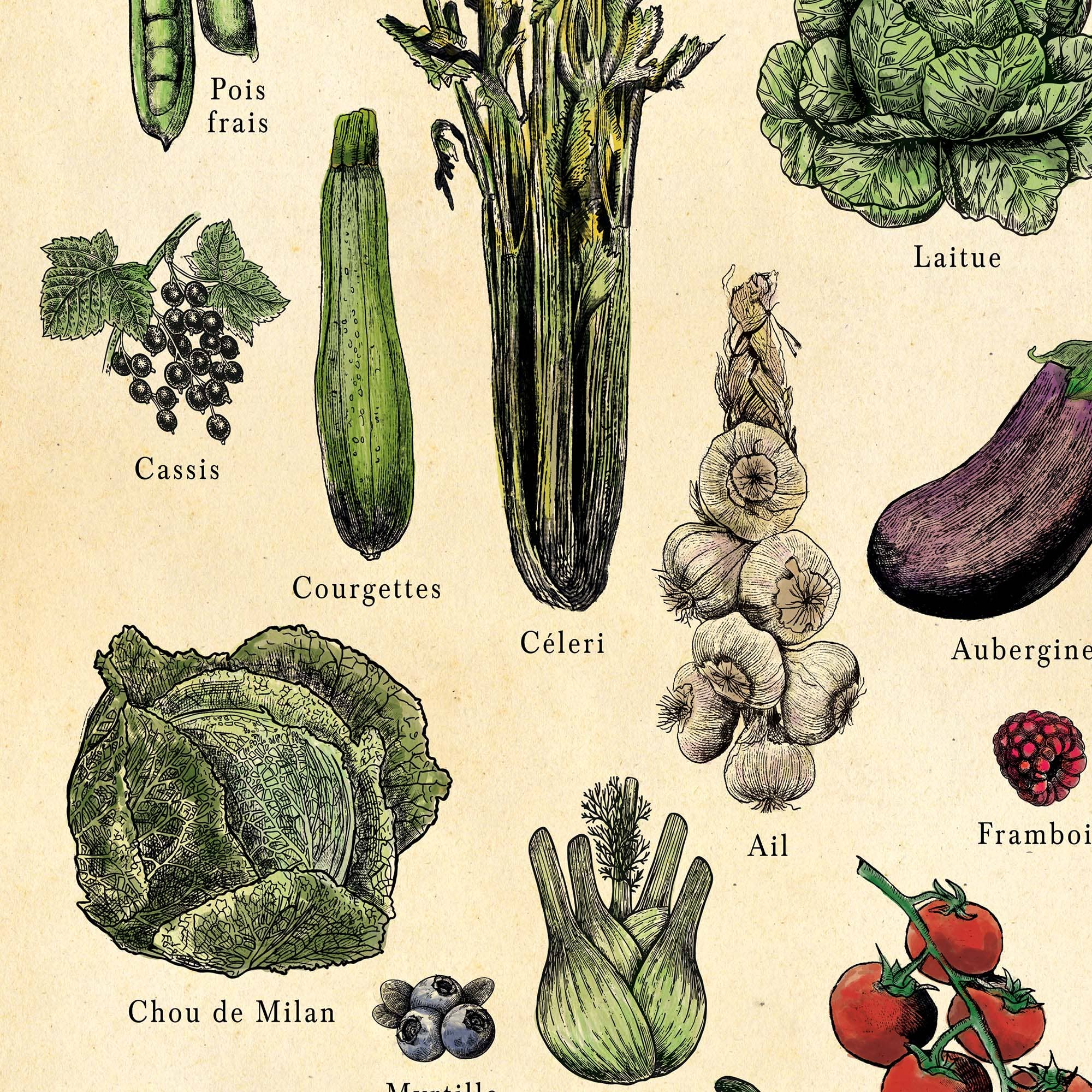 Hannah Turpin Designs - Vendita all'ingrosso Poster - Poster francese di frutta e verdura, stampa cibo da cucina, Resta6